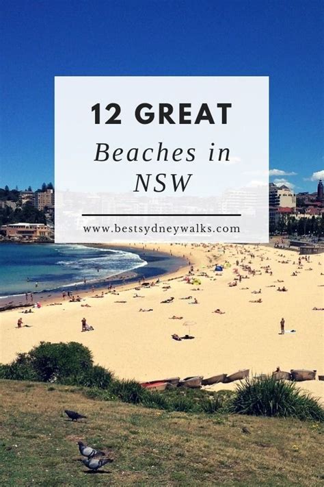 20 Best Beaches in New South Wales | Sydney Uncovered | Beach, New ...