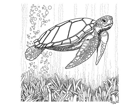 Loggerhead Sea Turtle Coloring Page