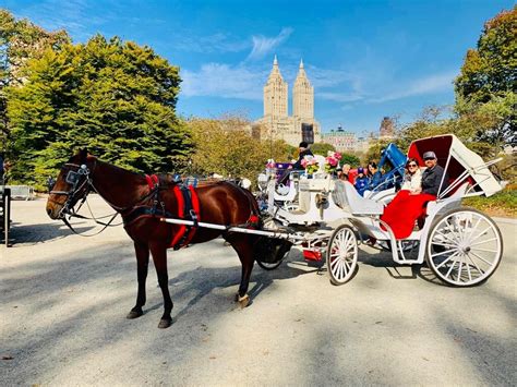 Central Park Carriage rides | NYC Tours | VIP Sightseeing