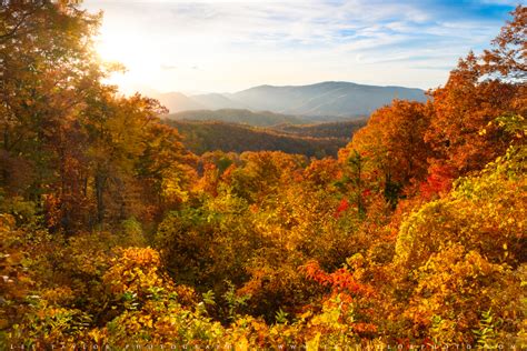 Travelogue: Great Smoky Mountains National Park In Autumn » Les Taylor ...