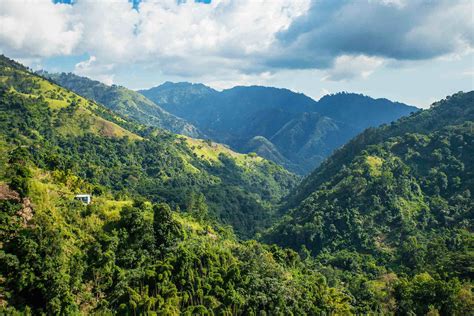 Blue Mountains🇯🇲 Hike up the Island's Highest Peak 🇯🇲 ...