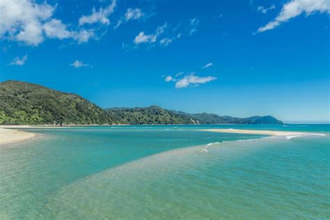 17 Best Things to Do in Nelson | New zealand beach, New zealand travel ...