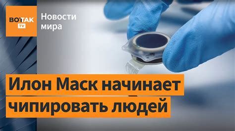 Neuralink Илона Маска получила разрешение на вживление чипов в мозг ...