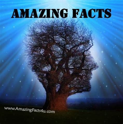 15 Amazing Facts | Amazing Facts 4U