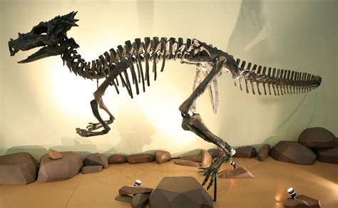 Dracorex 3 - Dracorex – Wikipedie | Dinosaur, Prehistoric creatures ...