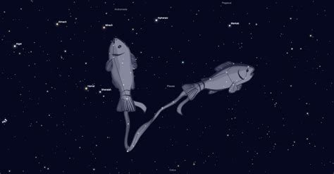 Pisces Constellation Guide for Backyard Astronomers