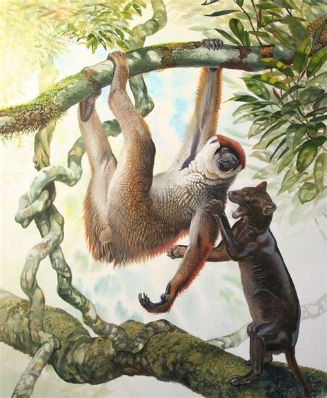 Sloth Lemur and Giant Fossa by Peter Schouten | Extinct animals ...