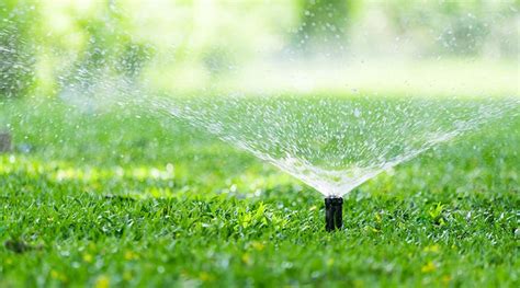 What Is Irrigation And Why Is It Important?