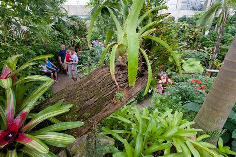 Butterfly Rainforest – Exhibits