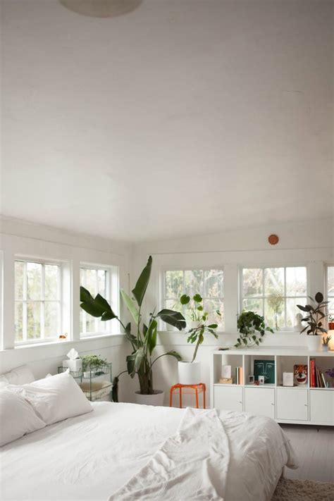 10+ White Bedroom Ideas With Plants