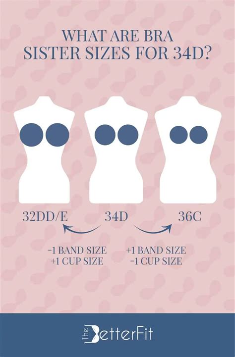 How Big Is a 34D Bra Cup Size? | TheBetterFit