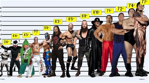 ベストオブ 5 6 Height Comparison - キムシネ