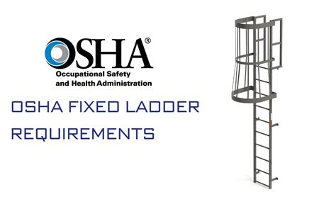 Osha Elevator Pit Ladder