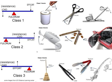 First Class Lever Examples