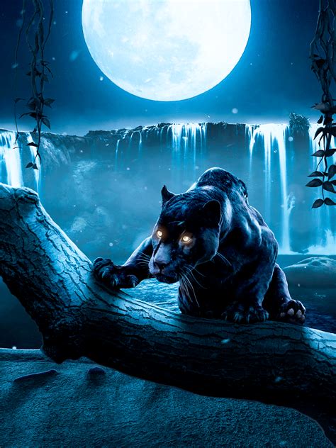 Night Panther on Behance