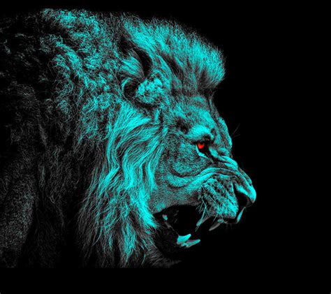 Majestic Lion HD Wallpaper