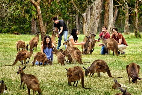 Adelaide Zoo 2025 | Best-tickets.com.au