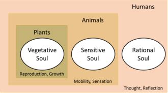 Soul - Wikipedia