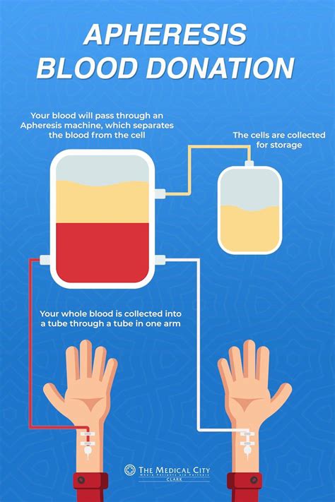 Apheresis Blood Donation Vs. Regular Blood Donation | Apheresis is used ...