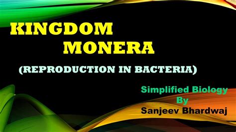 Kingdom Monera-Reproduction in Bacteria - YouTube