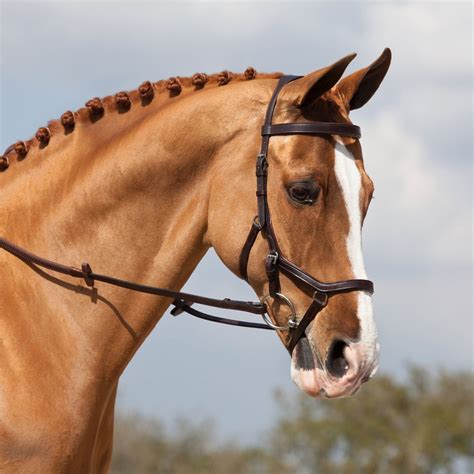 Know your nosebands – HQ Magazine