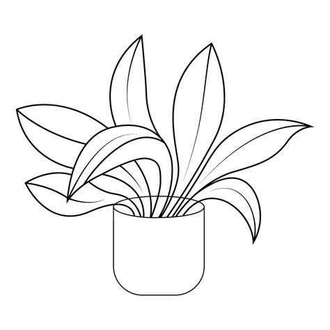 Indoor Plant Potted Plants Vector Line Art, Plant Drawing, Plants ...