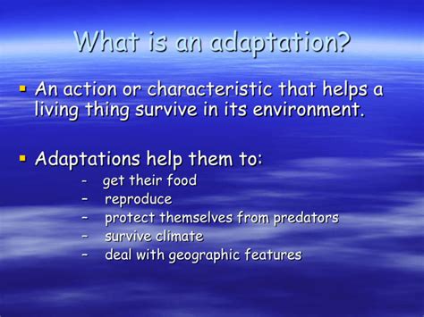 What is an adaptation?