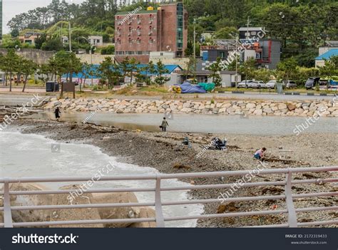 Ulsan South Korea June 7 2022 Stock Photo 2172319433 | Shutterstock