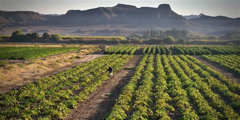 For farming (and farmers) to prosper, we need new models of co ...