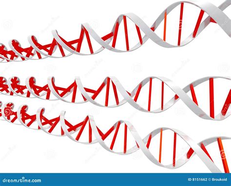 Dna helixes stock illustration. Illustration of organism - 8151662