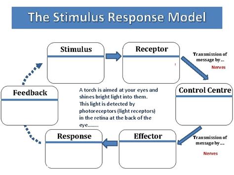 Stimulus Response Model Remaining alive requires Detecting and