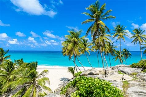 Barbados: Over 45,375 Royalty-Free Licensable Stock Photos | Shutterstock