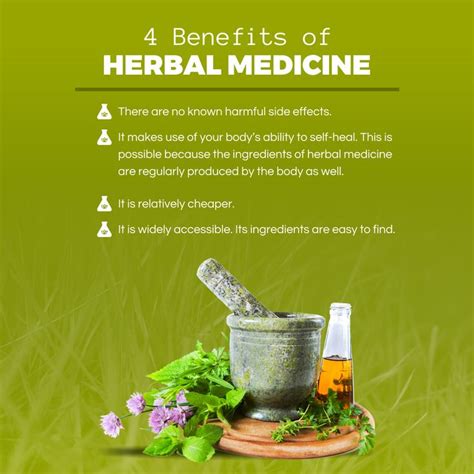 4 Benefits of Herbal Medicine -There are no known harmful side effects ...