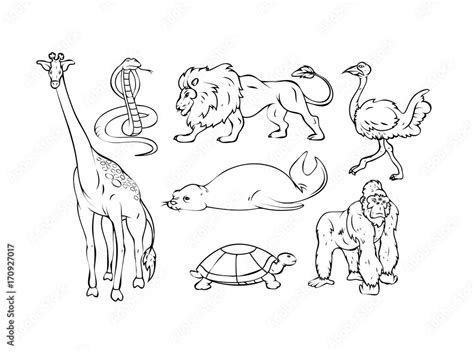 Cartoon Wild Animals Drawing Set - handmade clip-art vector Stock ...