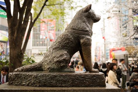 Hachiko - Ein Hund als Sinnbild von Treue und Loyalität in Japan