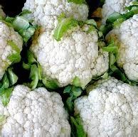 Cauliflower Seeds - Snowball - Bulk lb