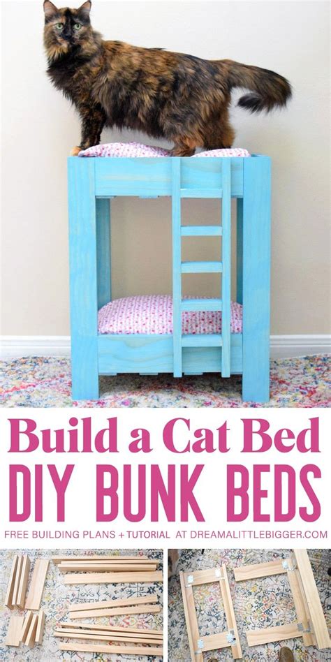 How to Build Cat Bunk Beds ⋆ Dream a Little Bigger