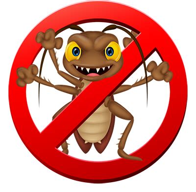 Cockroach Prevention – When the guests discovered a cockroach. – Pest ...