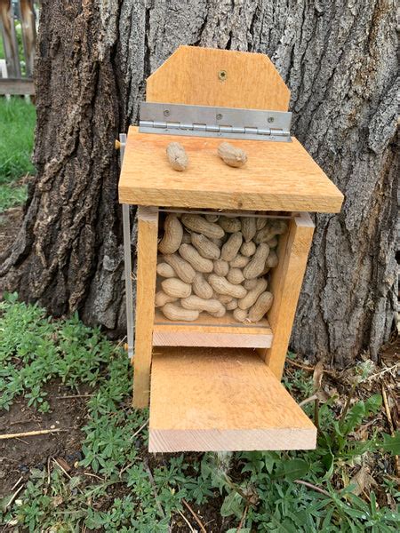 Squirrel Feeder with Lid Lift Mechanism Plans – King's Fine Woodworking Inc