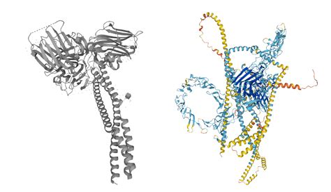 Human Laminin 521 Protein (RG) (LMN-HM521) | KACTUS