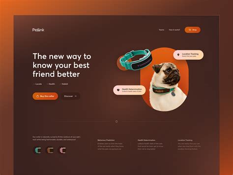 Browse thousands of Dog Collar images for design inspiration | Dribbble