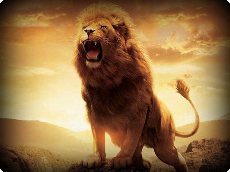 🔥 [50+] Roaring Lion Wallpapers | WallpaperSafari