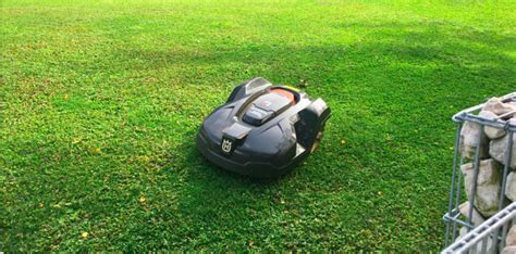 Guide to Buying the Best Robot Lawn Mower - Mel's Garden