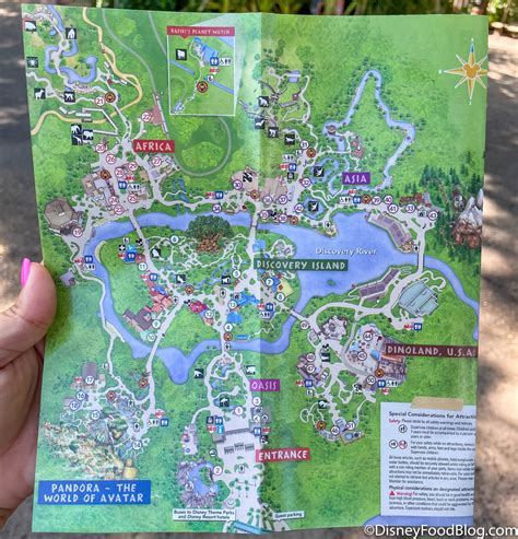 PHOTOS: See Animal Kingdom's NEW Park Map | the disney food blog