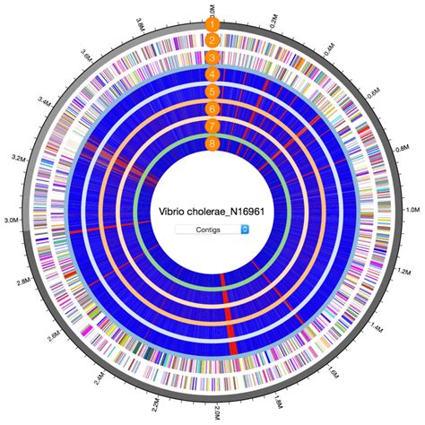 Genome-based Identification for Improving Reference Databases ...