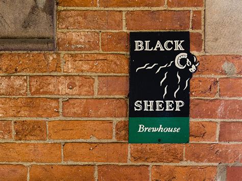 Brewery Tours | Black Sheep Brewery