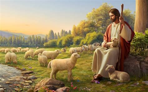 Jesus - Good Shepherd, lambs, Jesus, Good Shepherd, sheep HD wallpaper ...