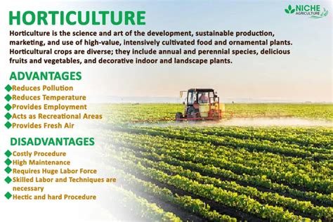 What is Horticulture Benefits to Industry and Society