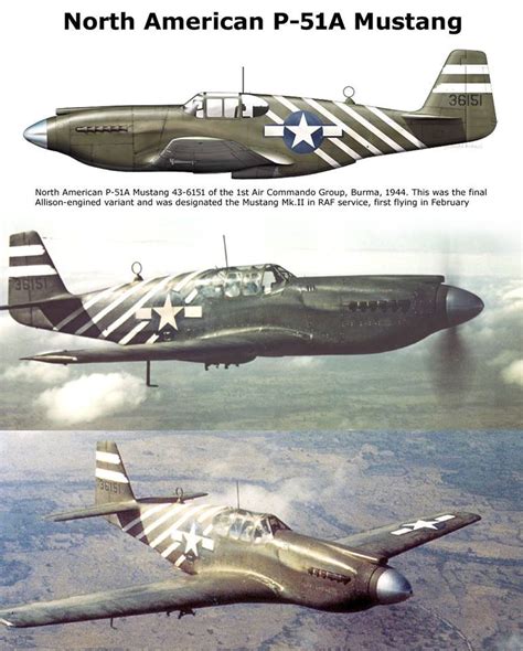 P-51A Mustang | Wwii airplane, Wwii aircraft, Mustang