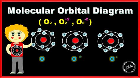 O2 Molecular Orbital Diagram Bond Order